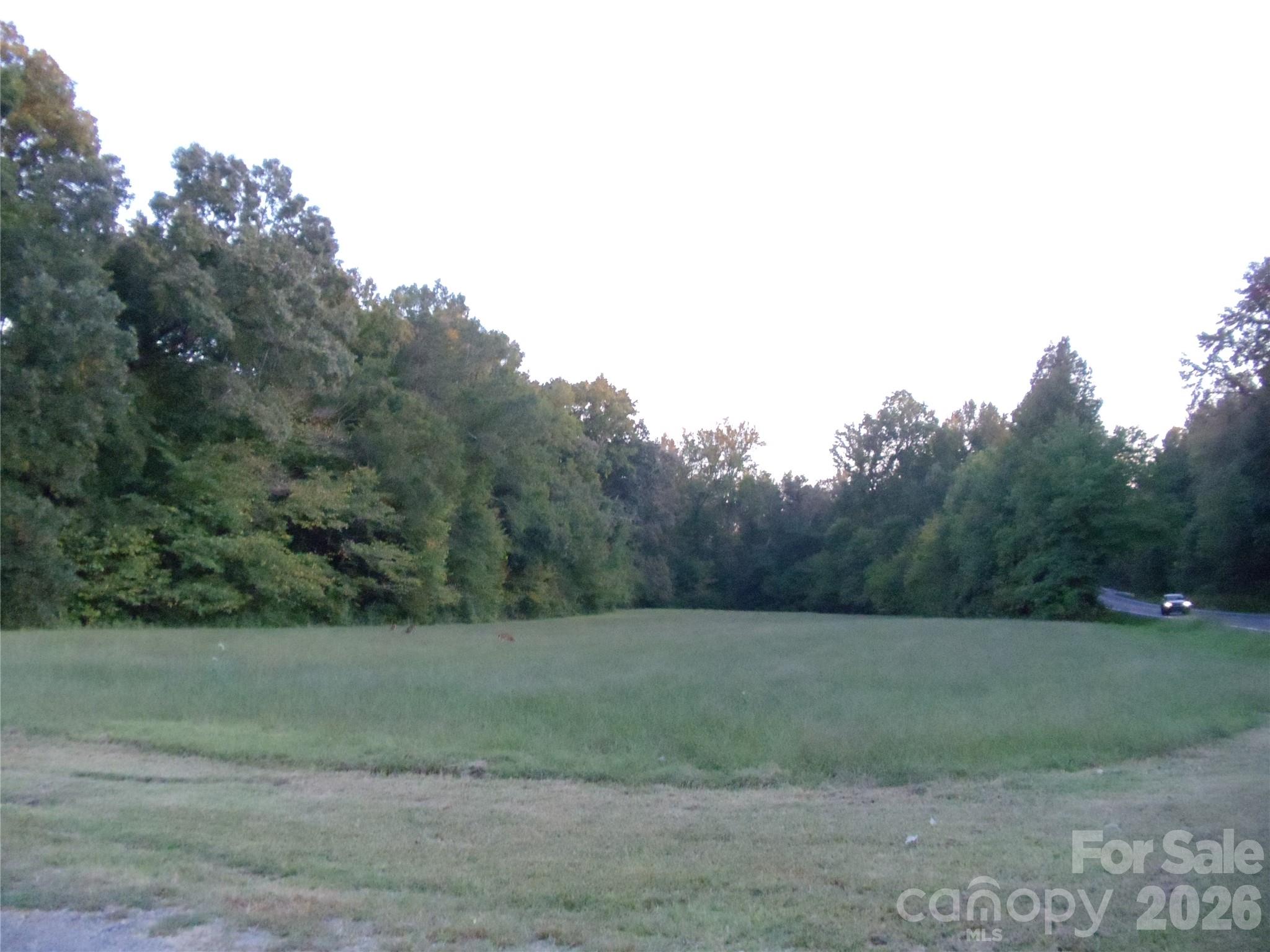 0 Miller Road Property Photo 1