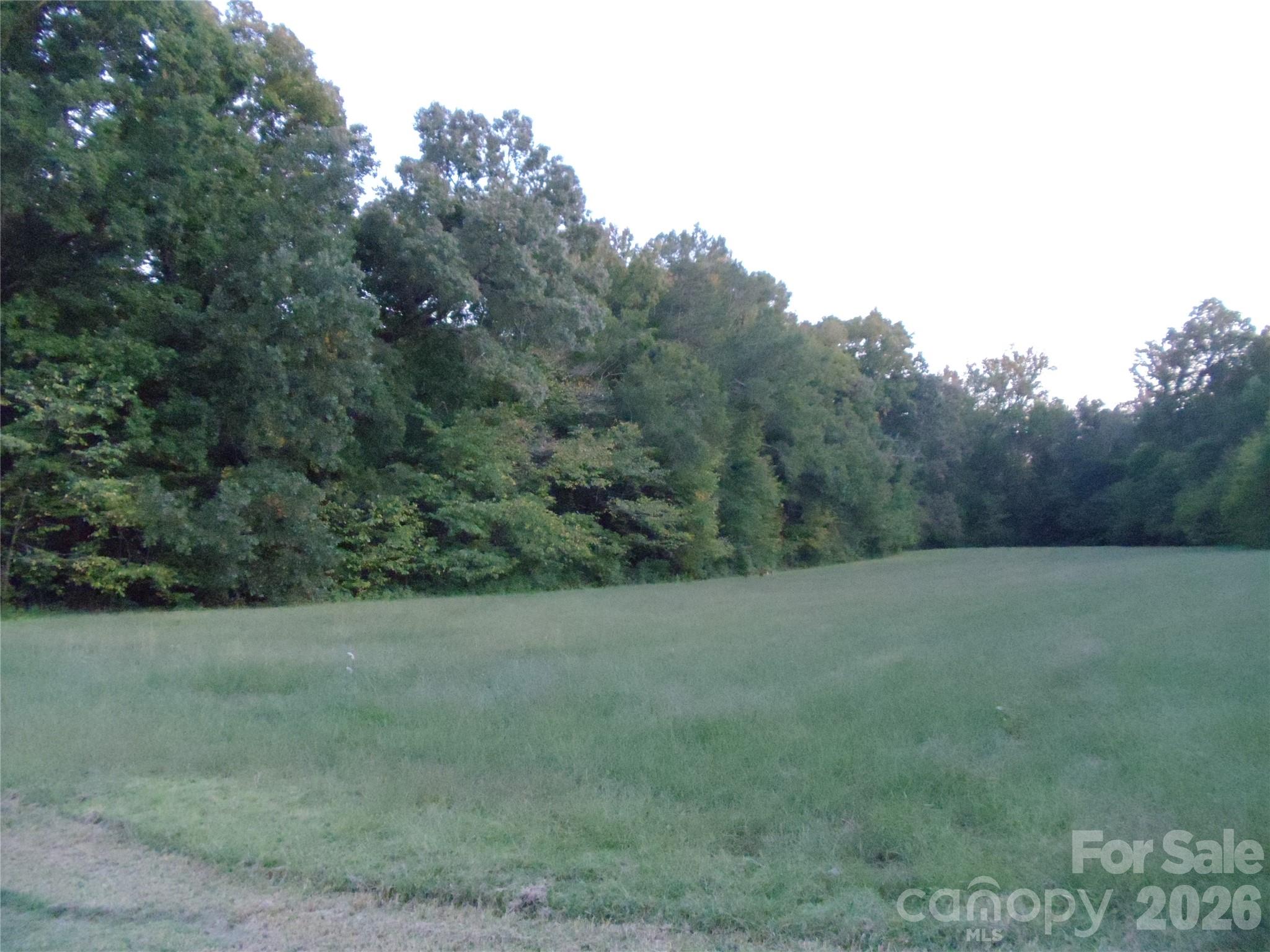 0 Miller Road Property Photo 3