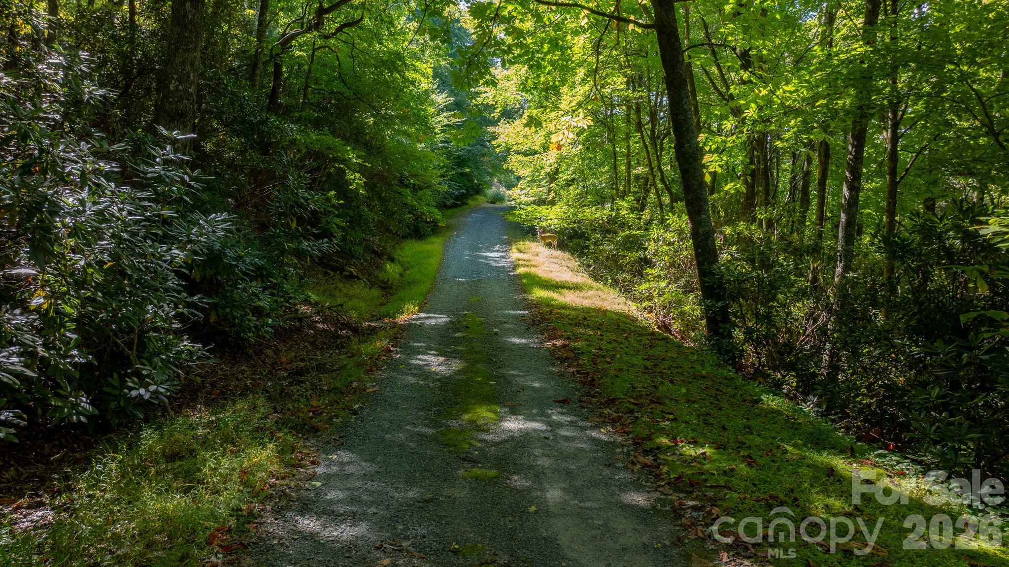 1056 Old Hampton Road Property Photo 39