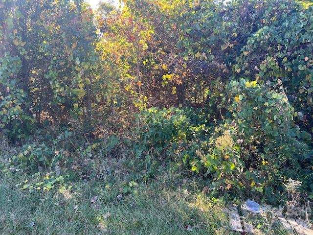 1534 Filbert Highway Property Photo 2