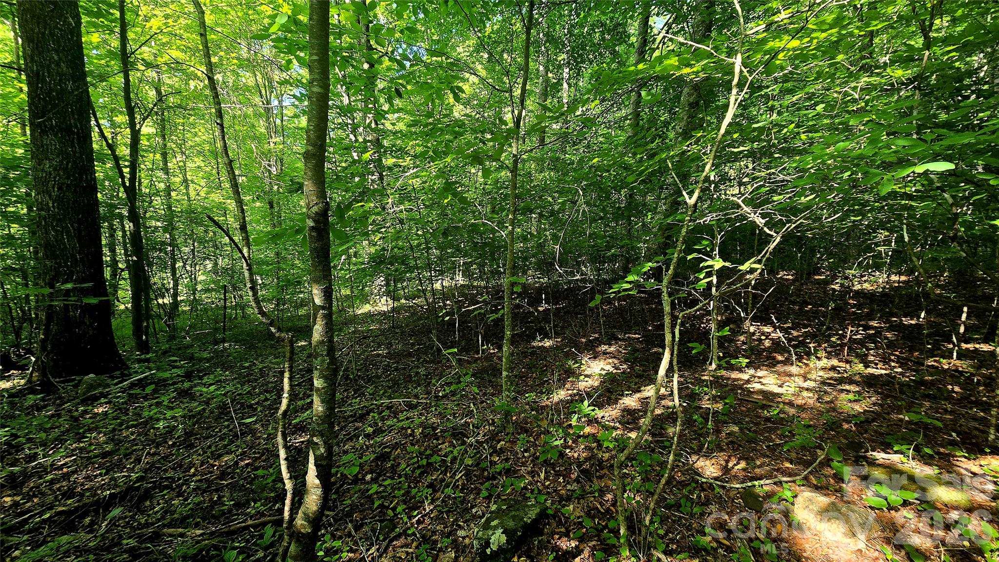 Lot 11 Elk Creek Mountain Parkway 11 Property Photo 1