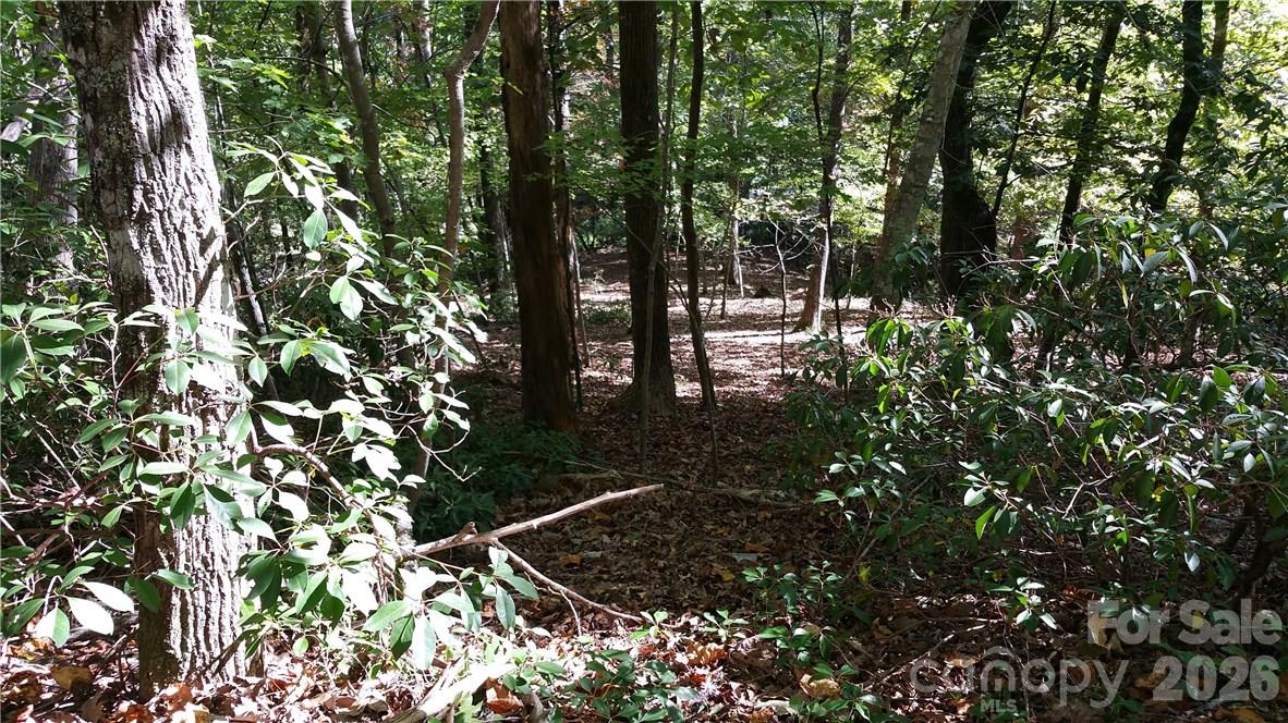 0 Grandview Drive 83 Property Photo 1