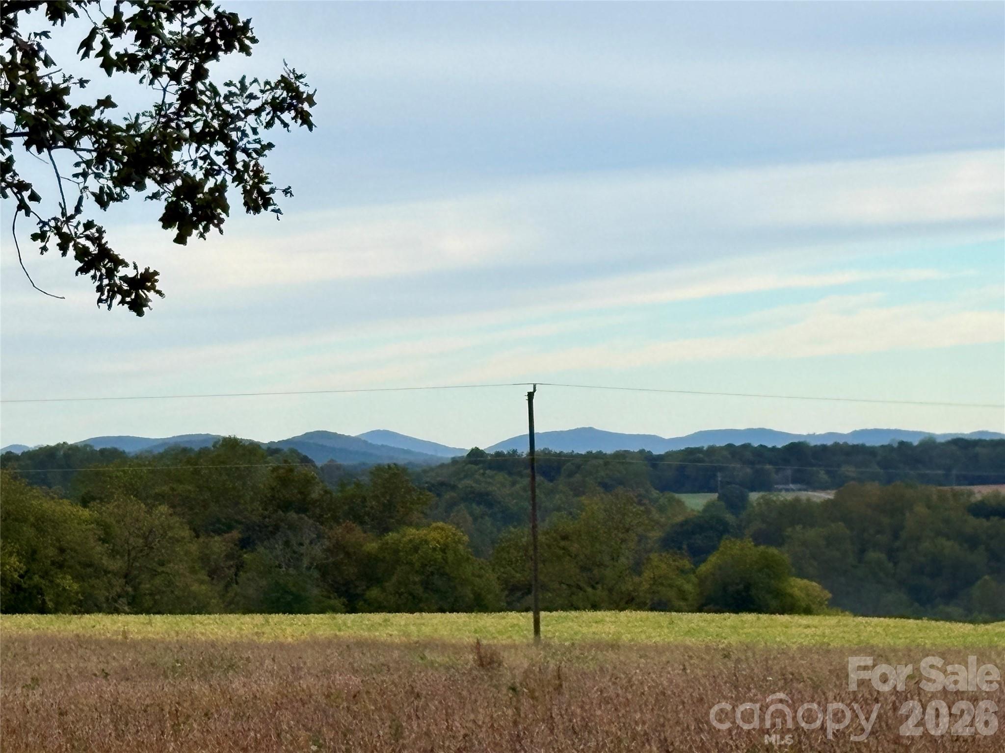 292 Williamsburg Road Property Photo 5