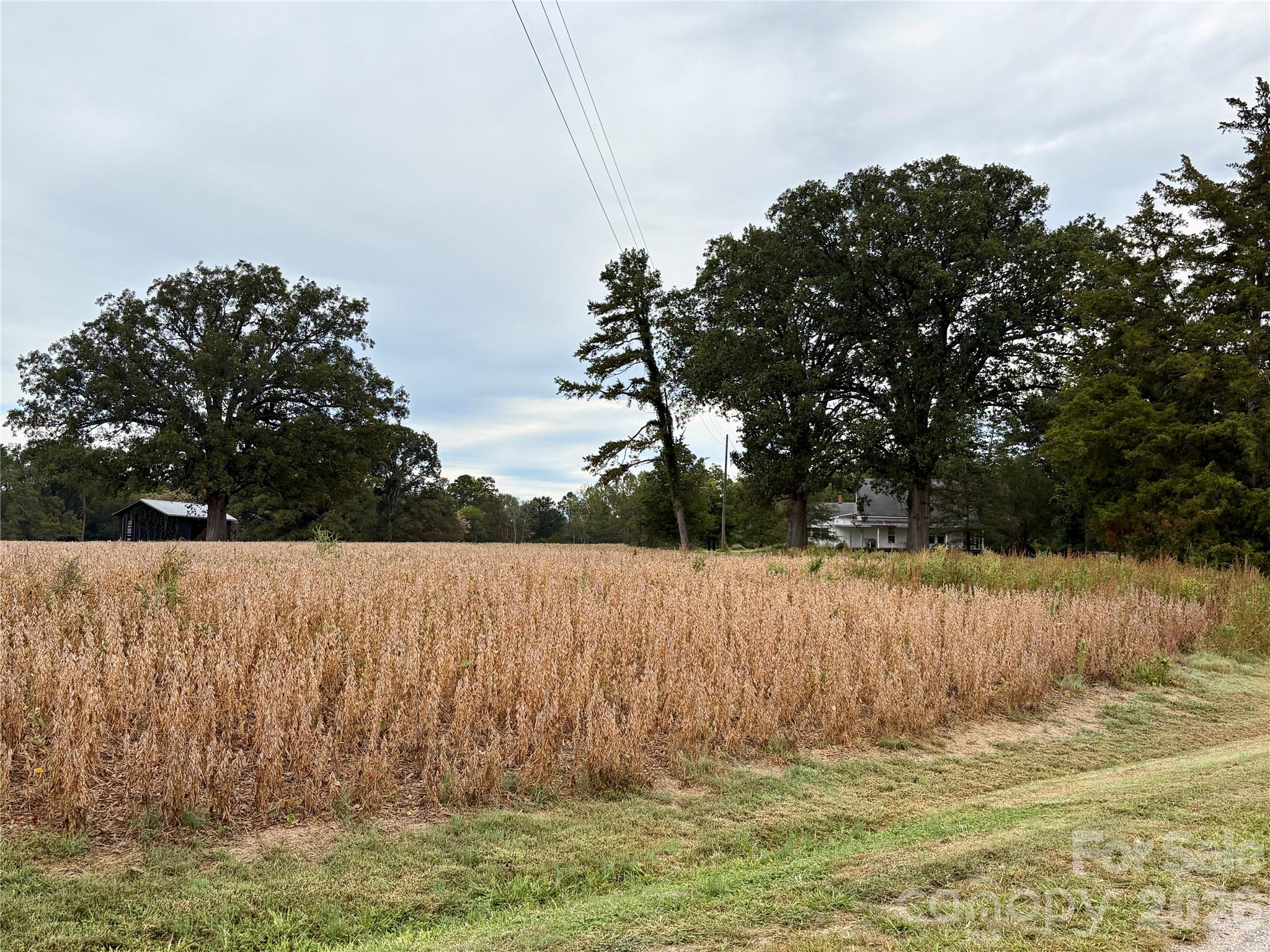 292 Williamsburg Road Property Photo 8