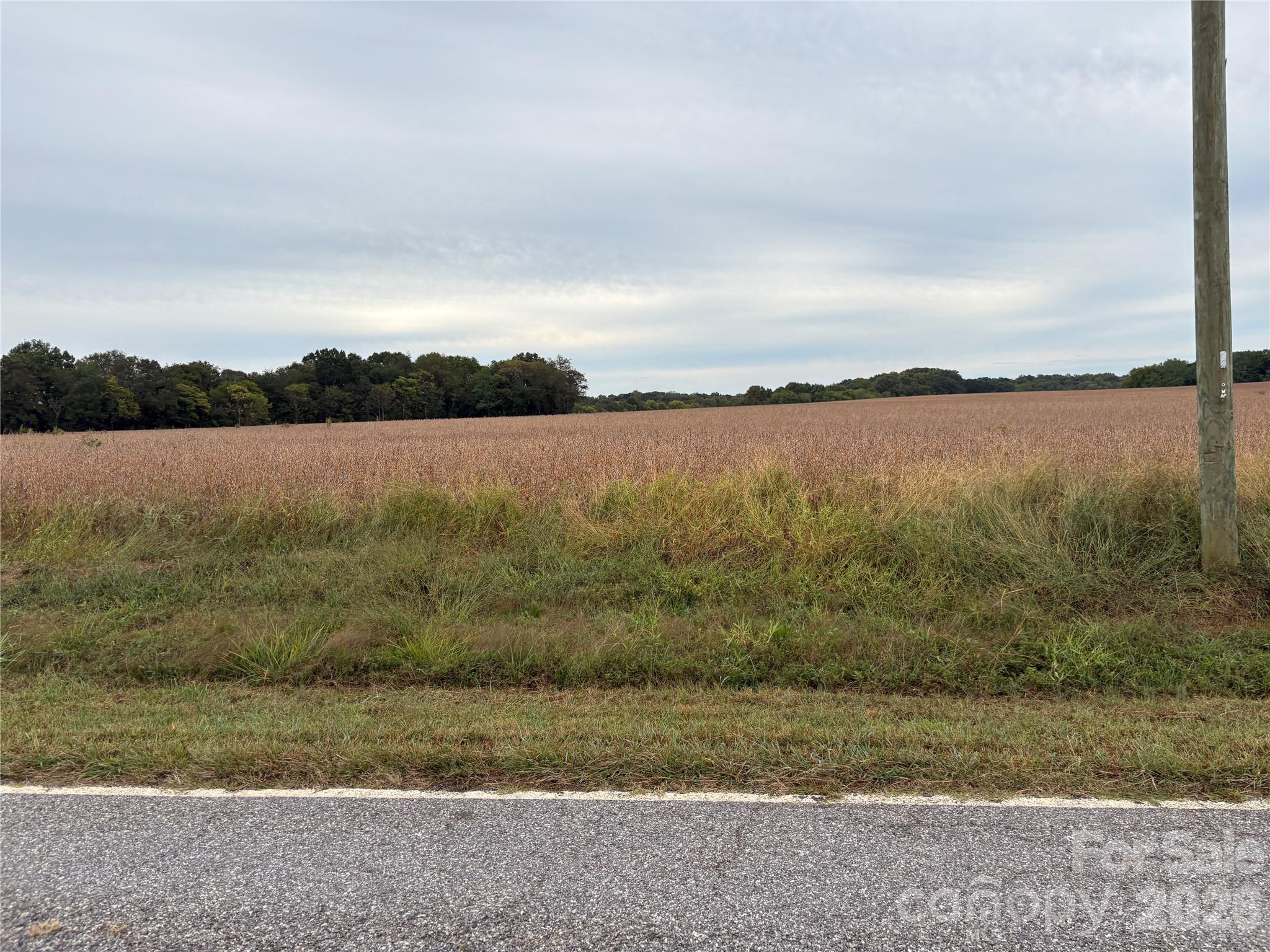 292 Williamsburg Road Property Photo 9