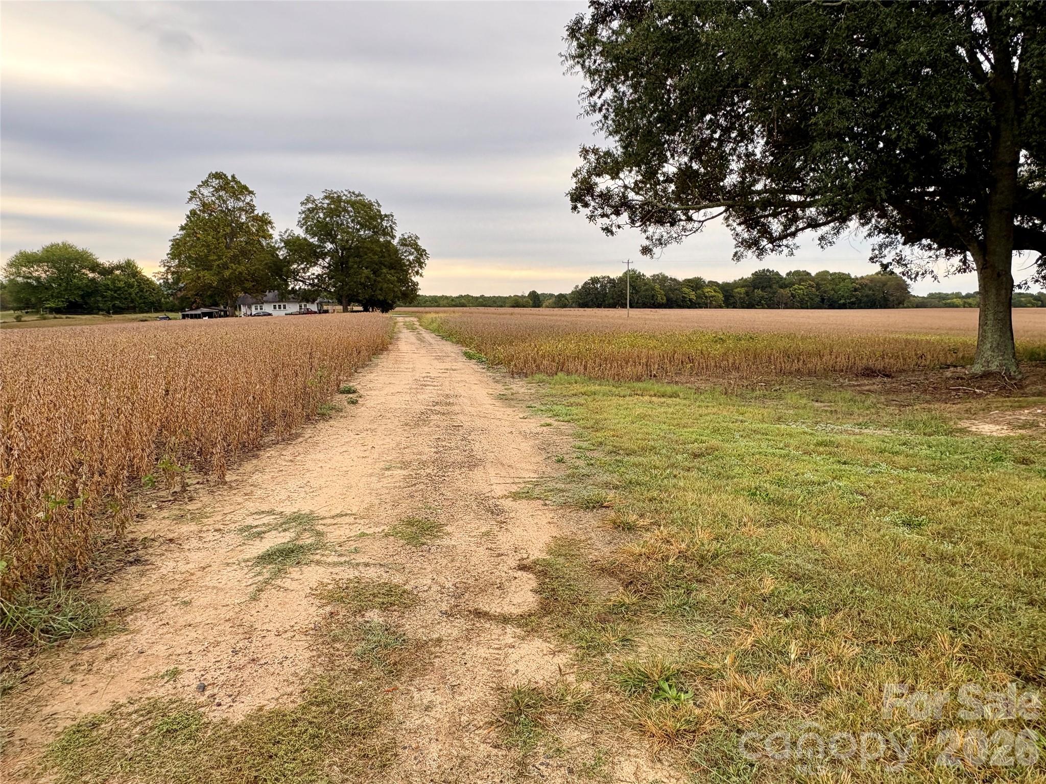 292 Williamsburg Road Property Photo 15
