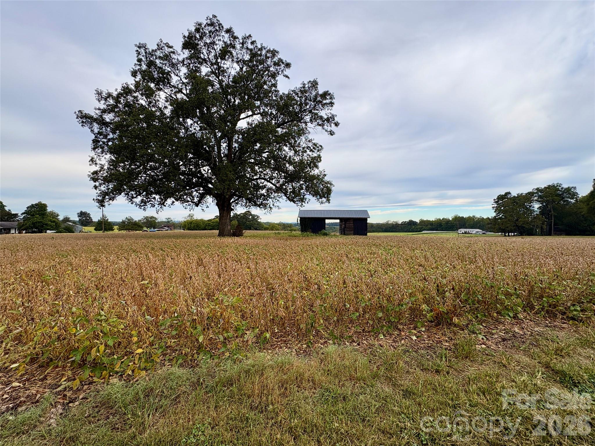 292 Williamsburg Road Property Photo 17