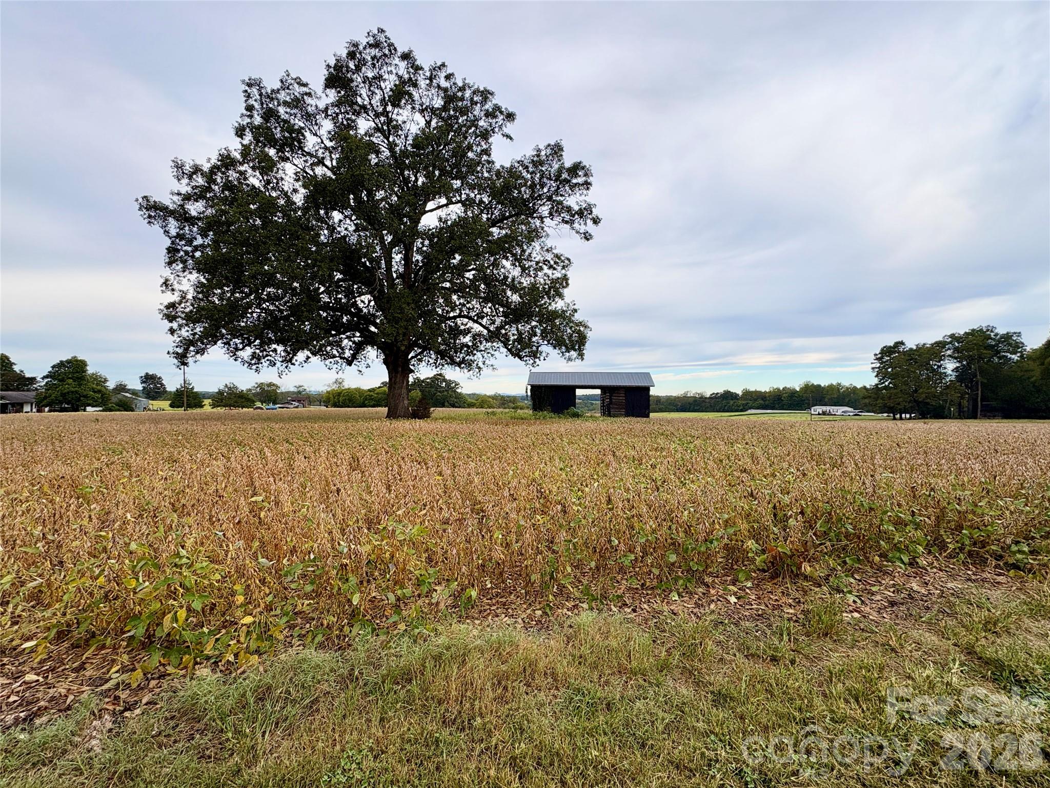 292 Williamsburg Road Property Photo 31