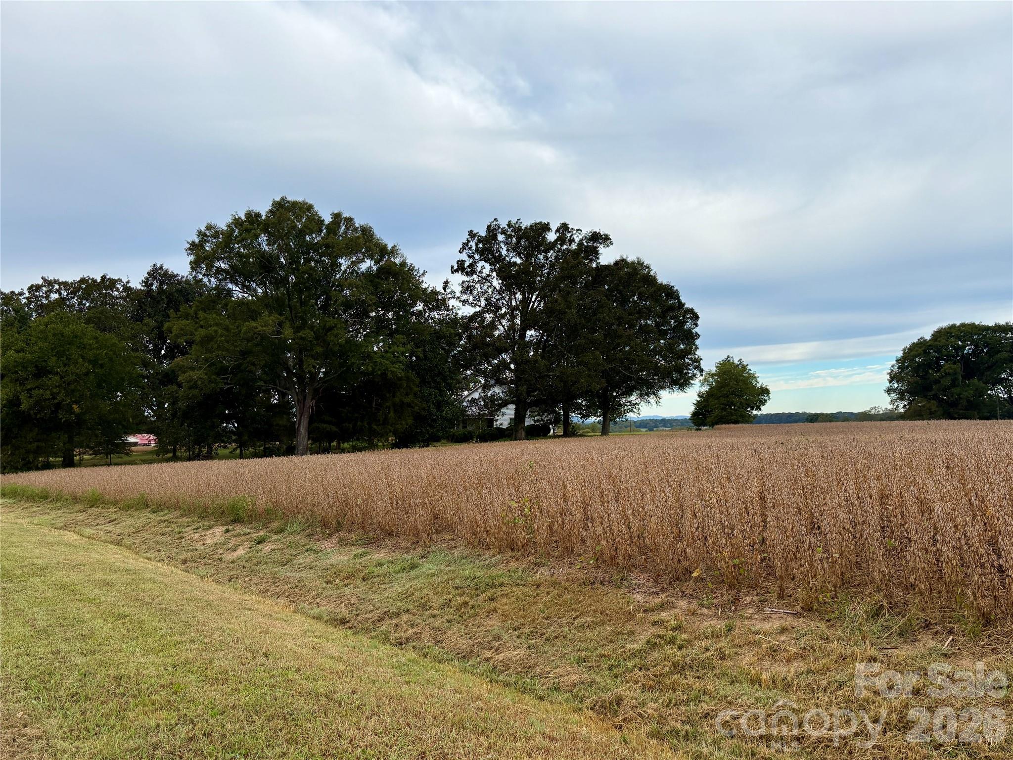 292 Williamsburg Road Property Photo 34
