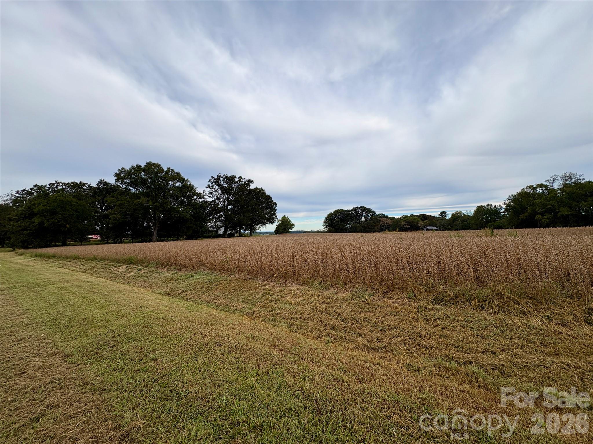 292 Williamsburg Road Property Photo 36