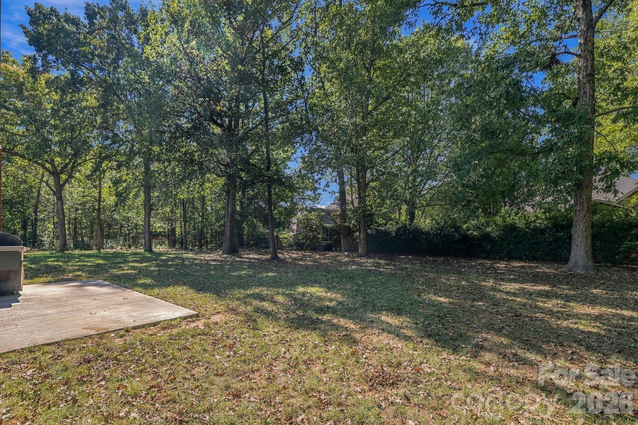 1471 Porch Swing Lane Property Photo 39