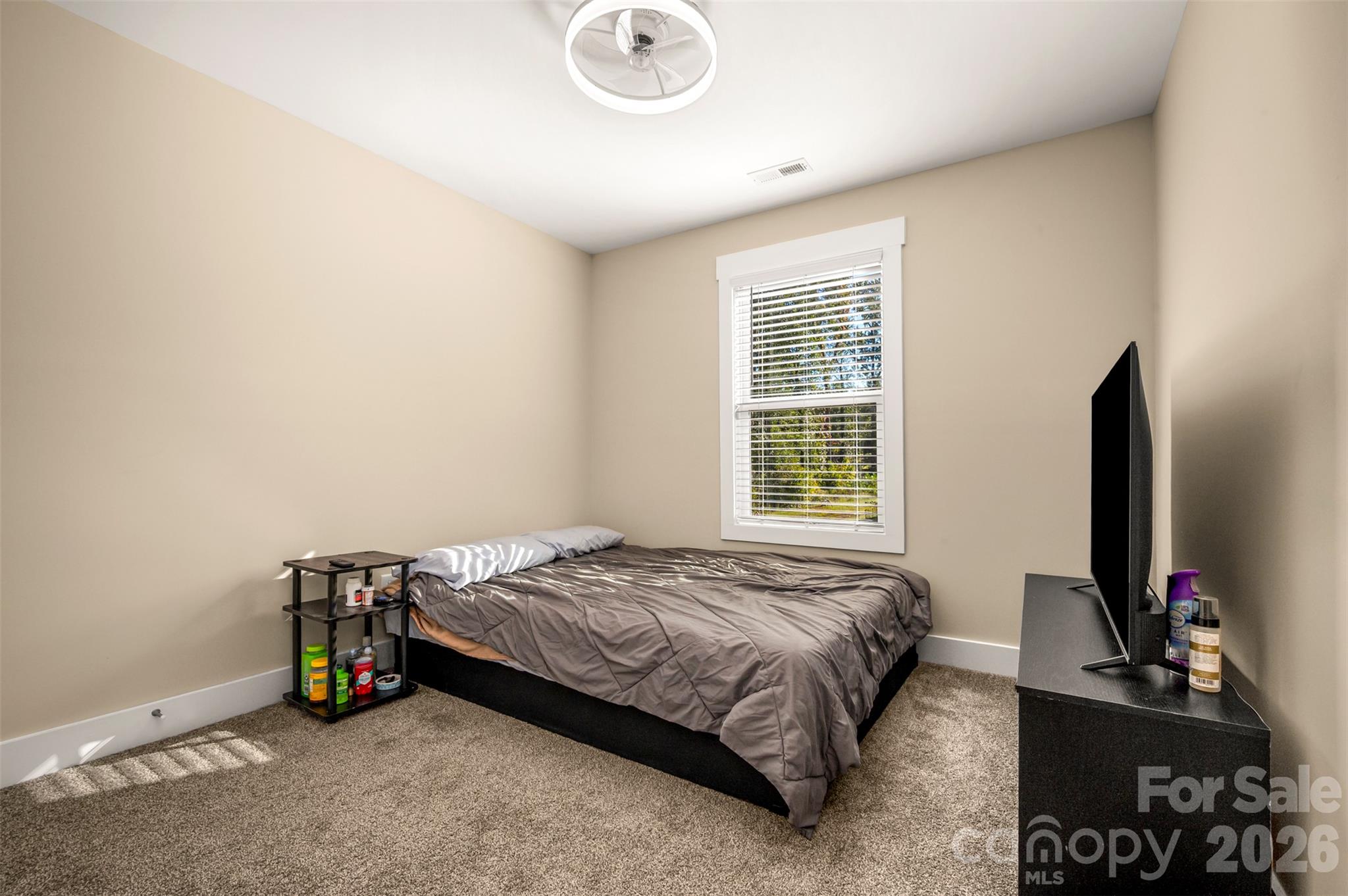 109 Orchard Street Property Photo 23