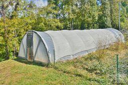 456 Morgan Branch Road Property Photo 23