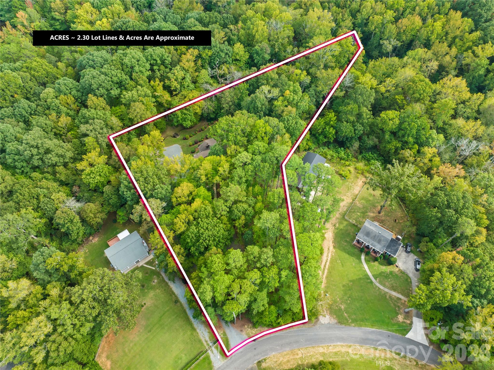 16208 Deepwood Place Property Photo 5