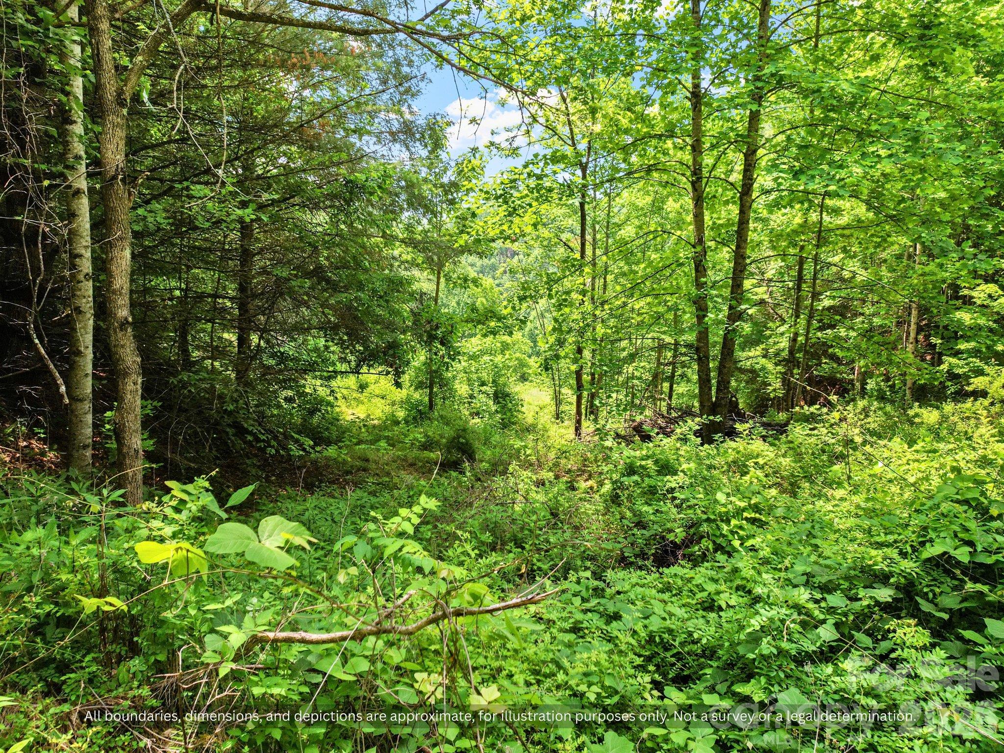 99999 Bee Branch Road Property Photo 10