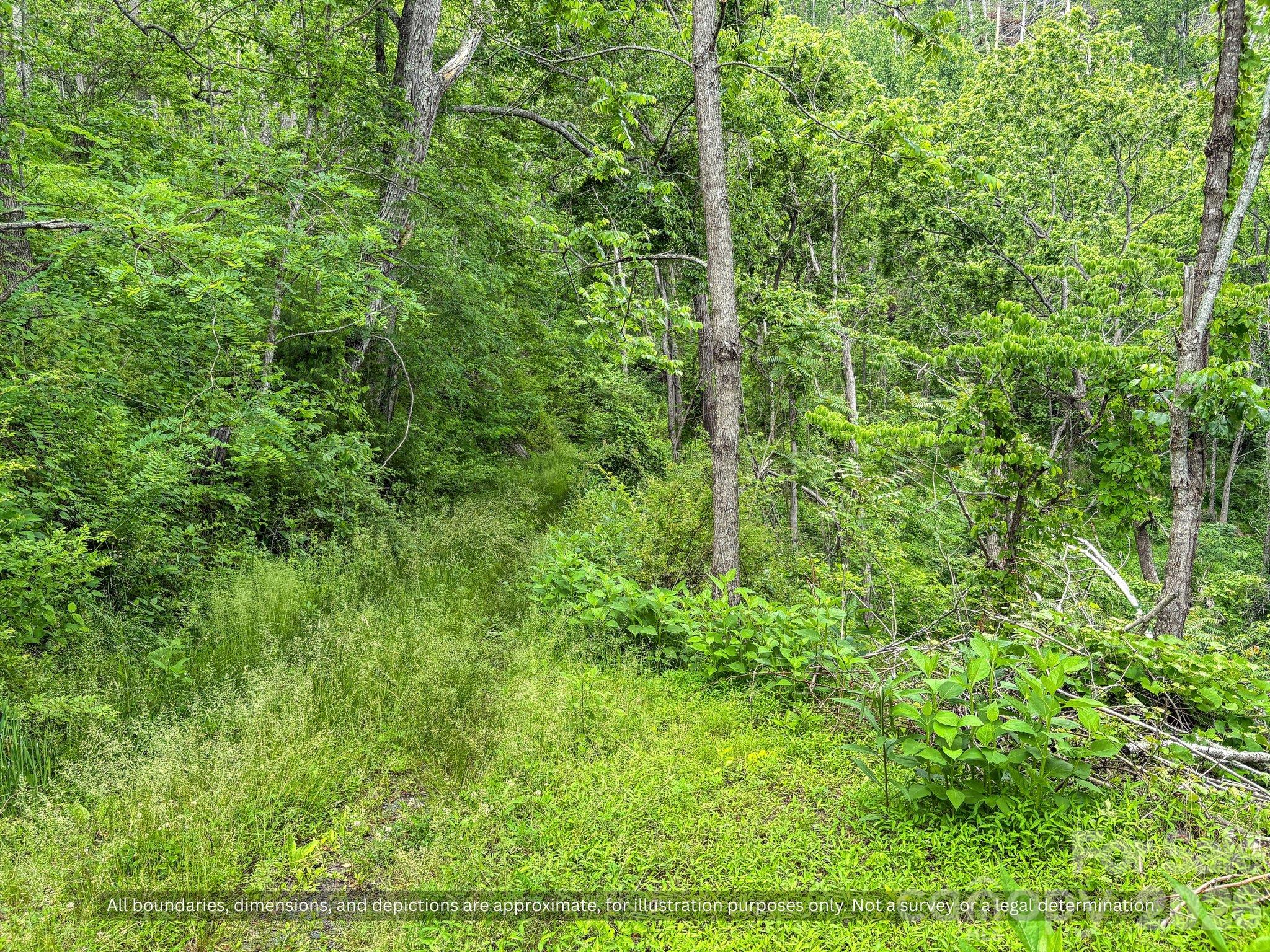 99999 Bee Branch Road Property Photo 17