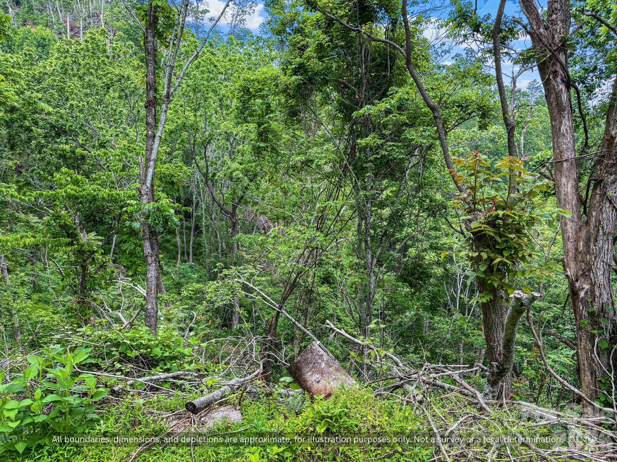 99999 Bee Branch Road Property Photo 18