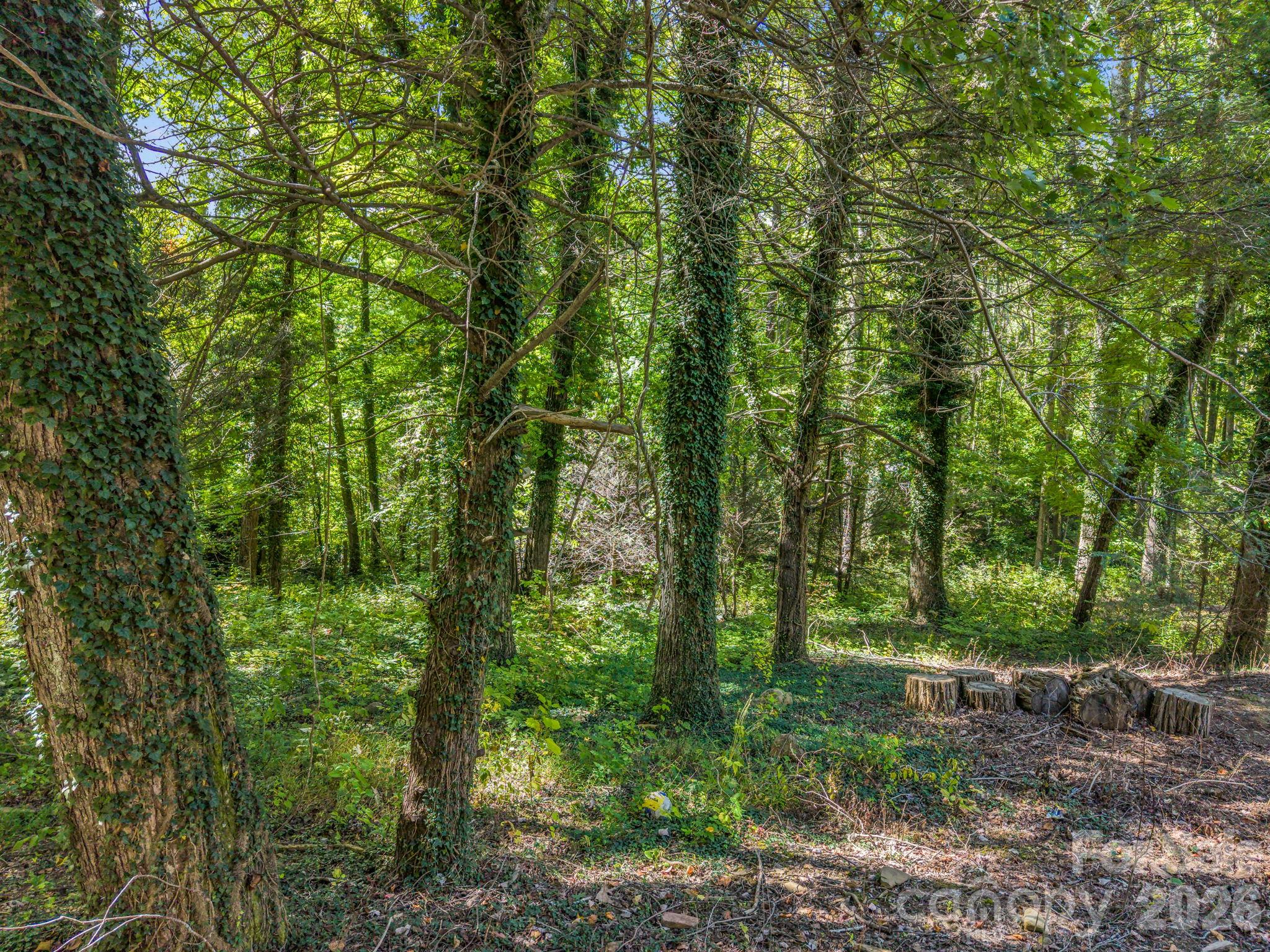 242 Summer Haven Road Property Photo 4
