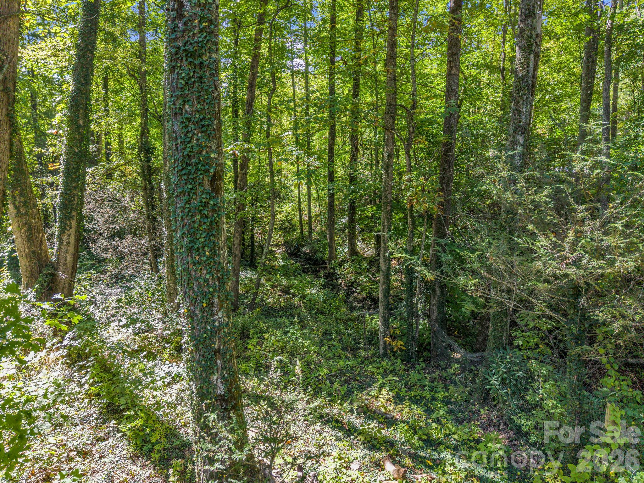 242 Summer Haven Road Property Photo 10