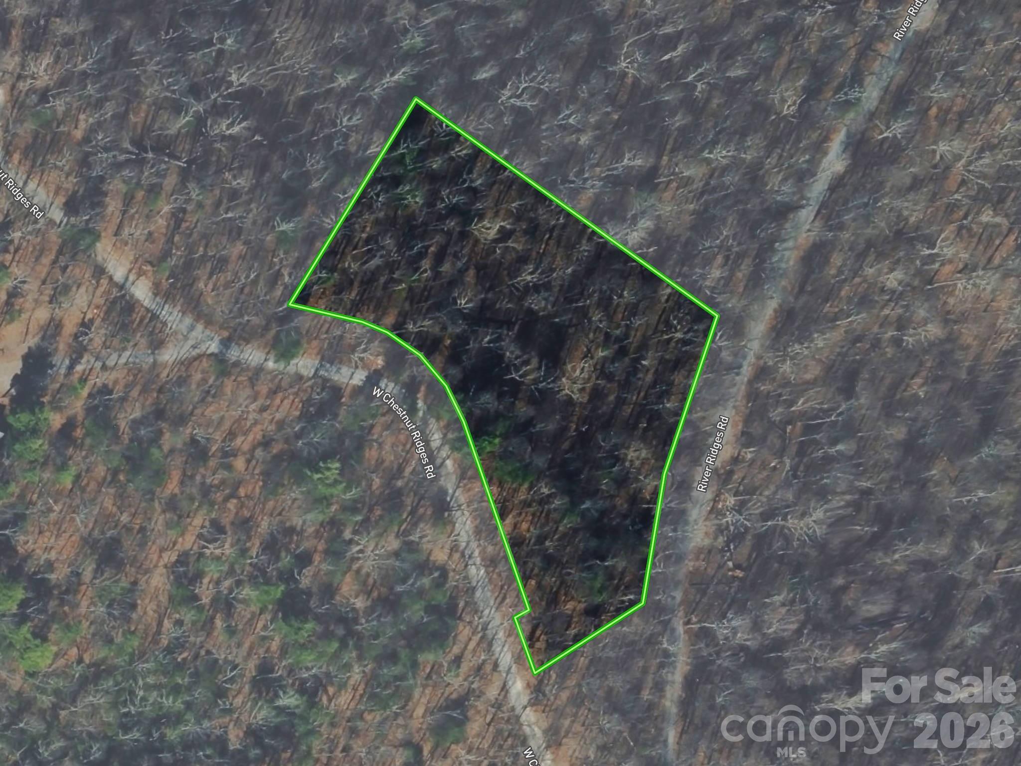 Lot 6 W Chestnut Ridges Road 6 Property Photo 1