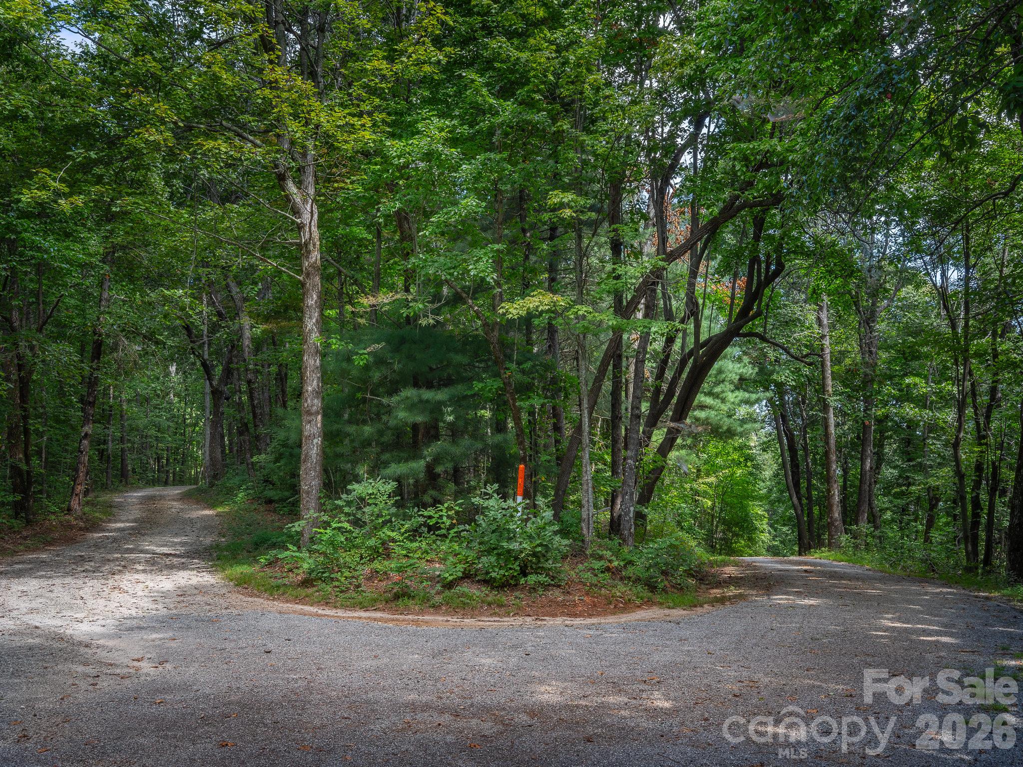 Lot 6 W Chestnut Ridges Road 6 Property Photo 6