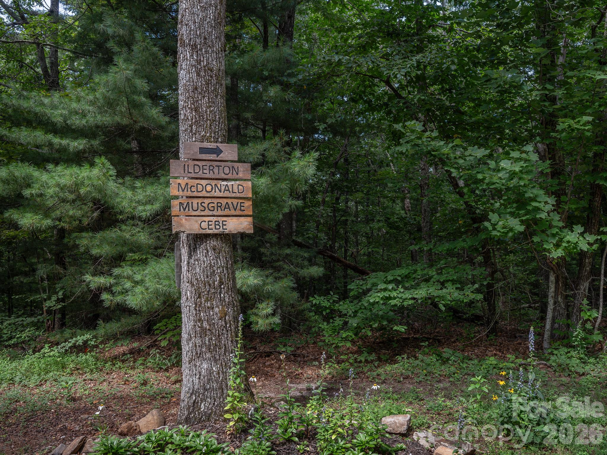 Lot 6 W Chestnut Ridges Road 6 Property Photo 7