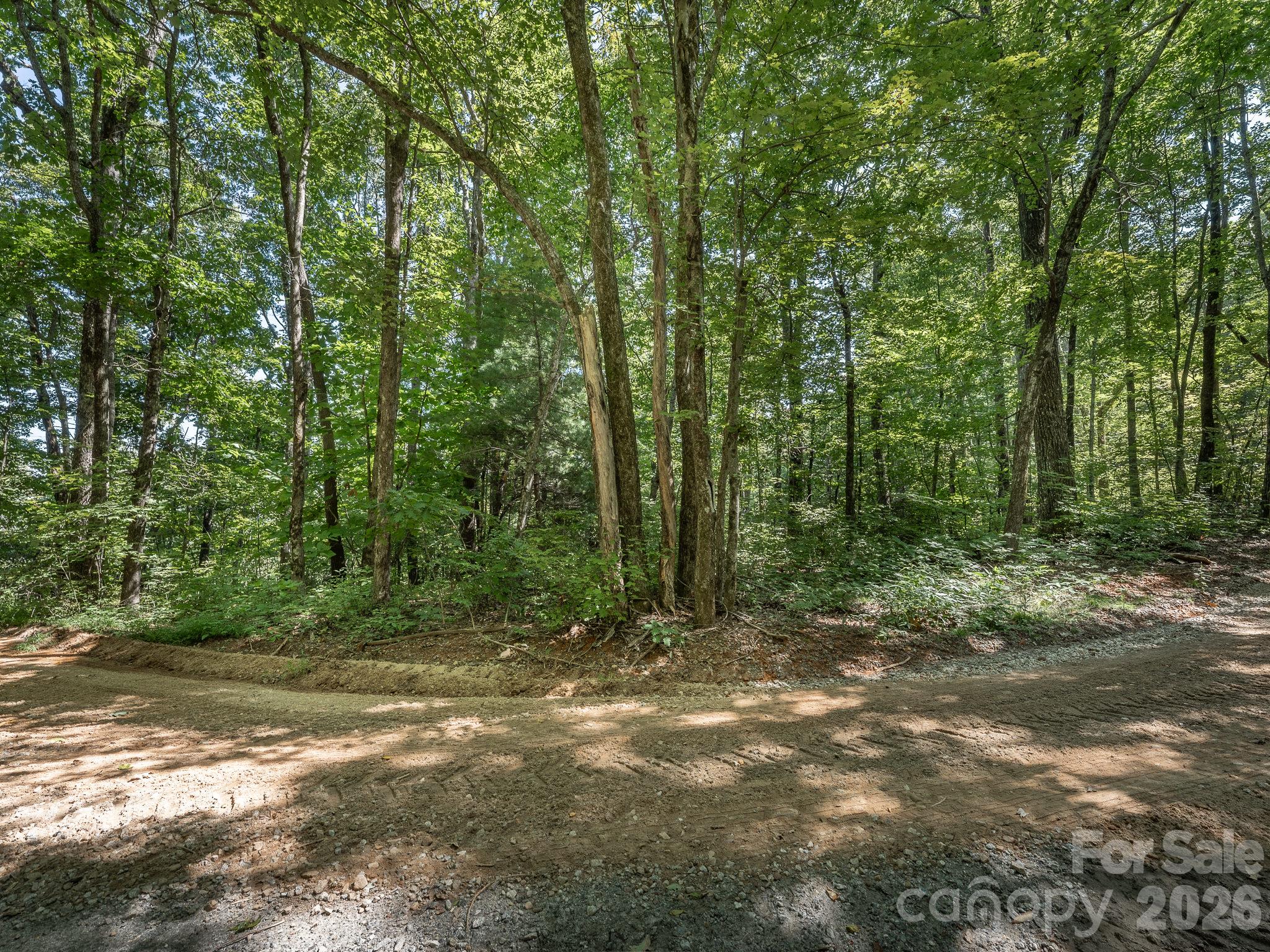 Lot 6 W Chestnut Ridges Road 6 Property Photo 9