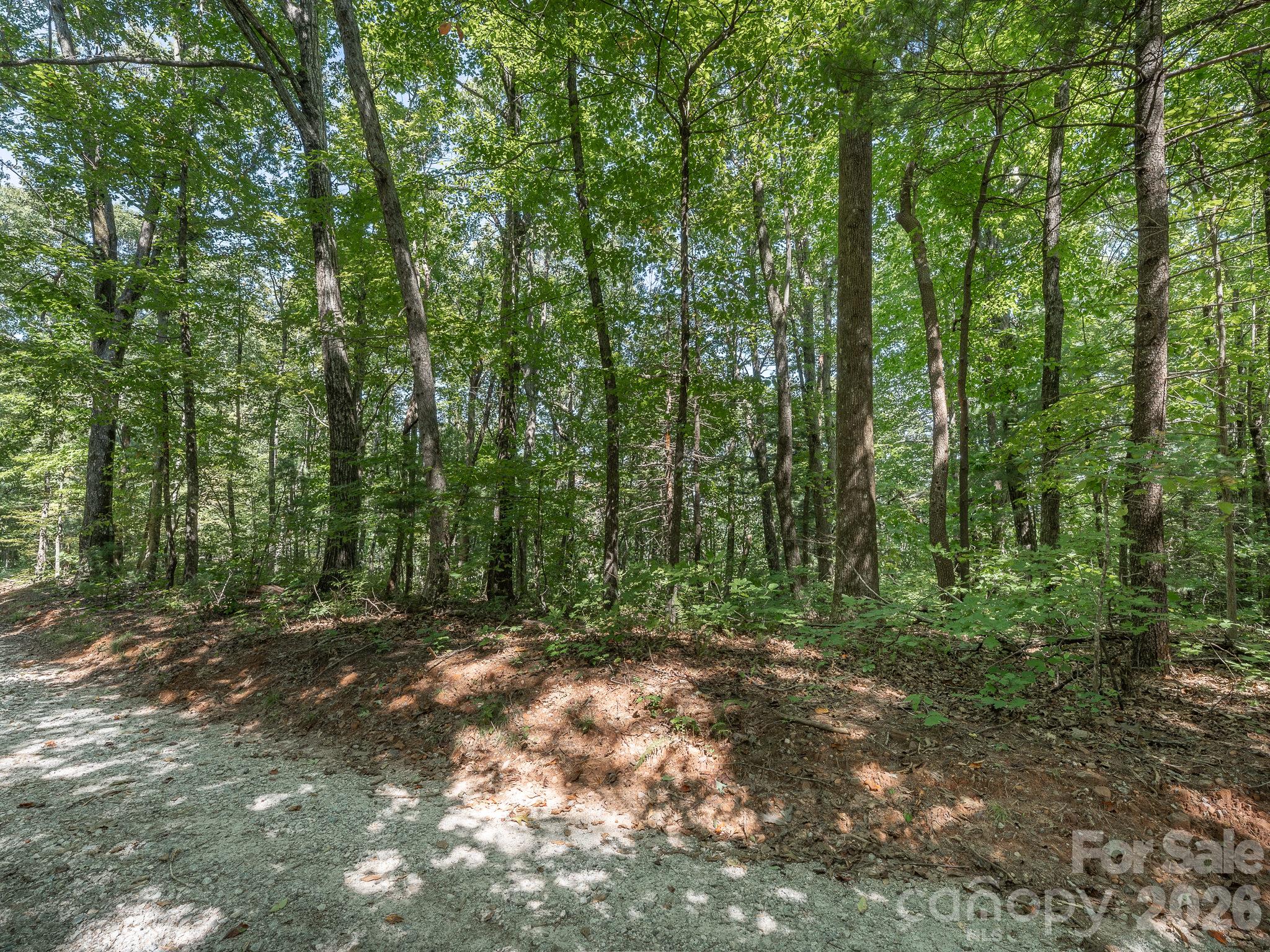Lot 6 W Chestnut Ridges Road 6 Property Photo 10