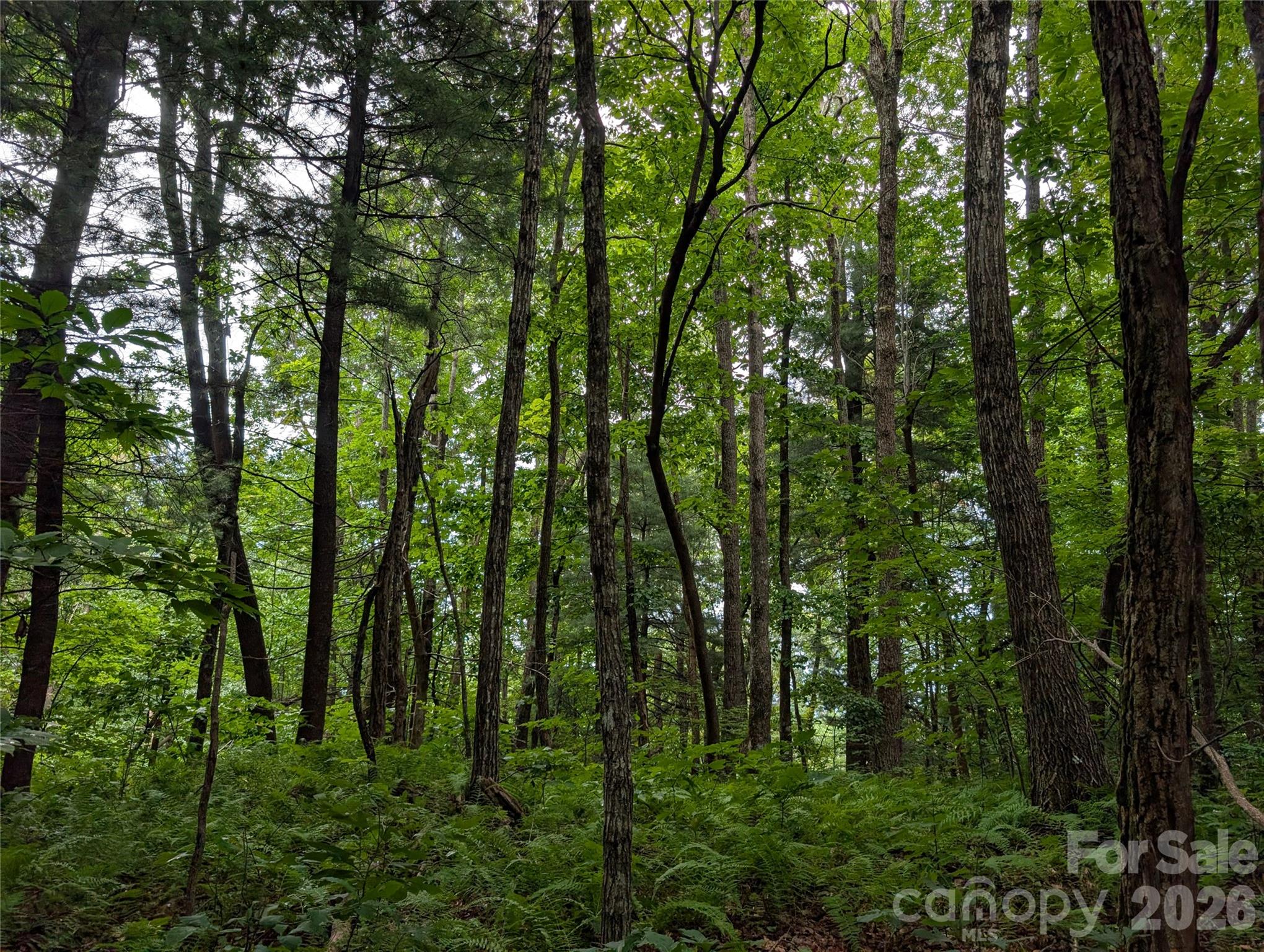 Lot 6 W Chestnut Ridges Road 6 Property Photo 11