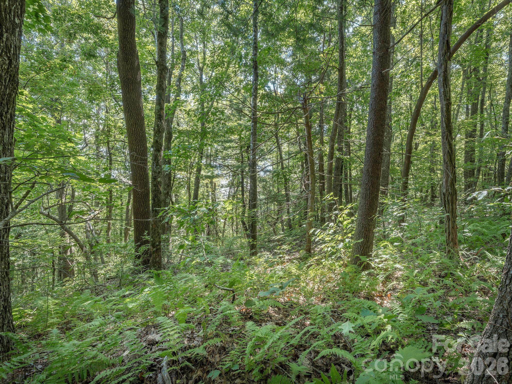Lot 6 W Chestnut Ridges Road 6 Property Photo 12