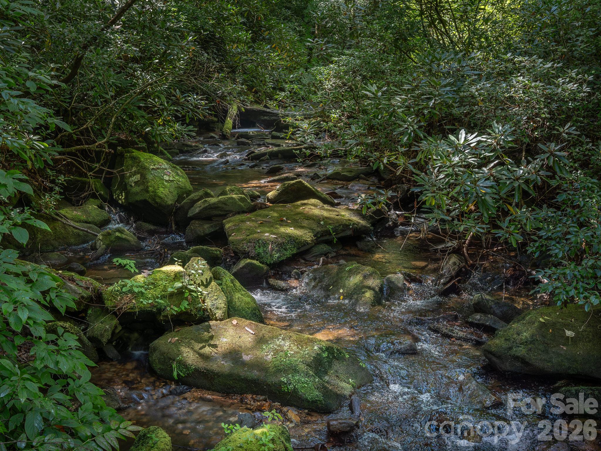 Lot 6 W Chestnut Ridges Road 6 Property Photo 18
