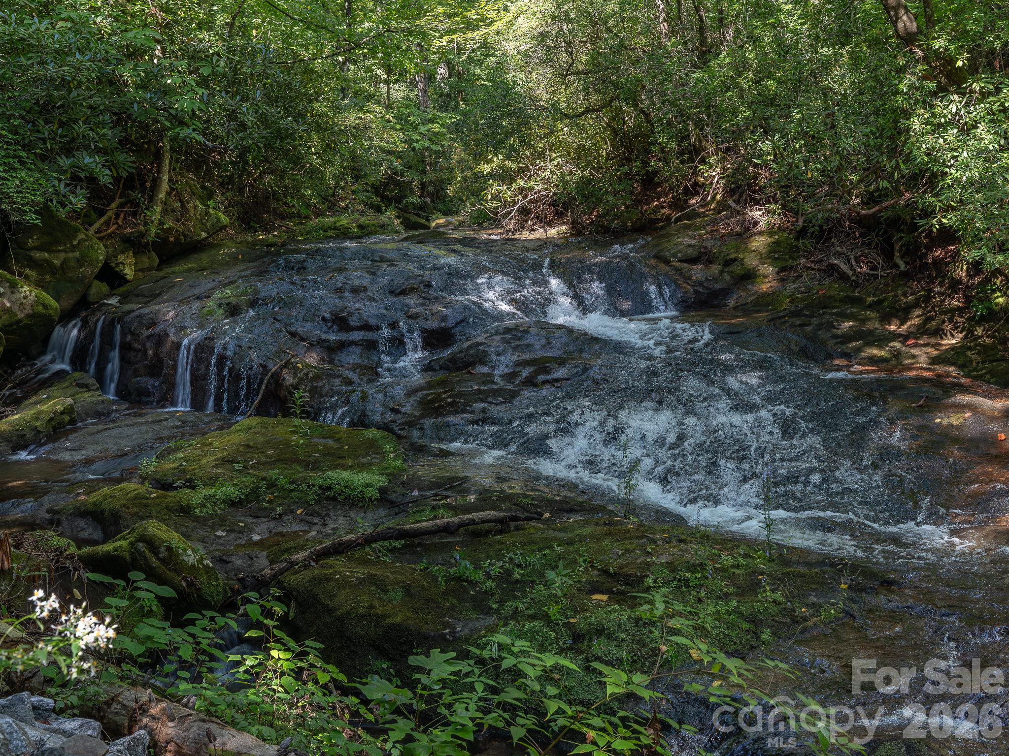 Lot 6 W Chestnut Ridges Road 6 Property Photo 19