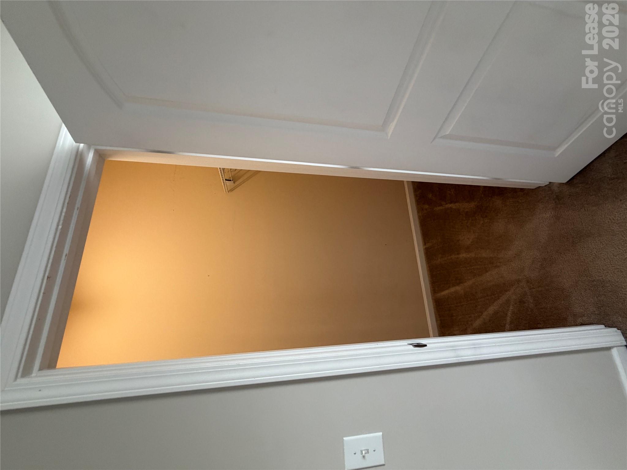 10968 Cedar Walk Lane Property Photo 17