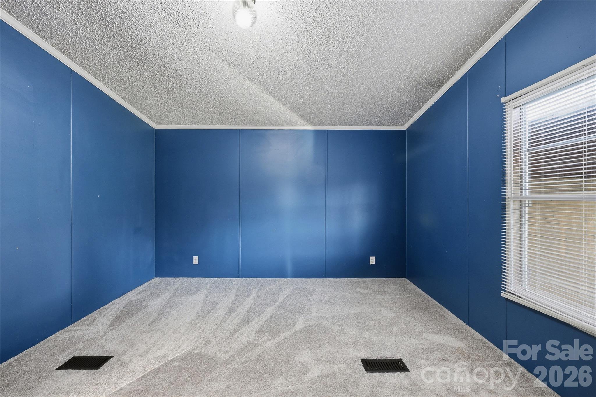 127 White Plains Road Property Photo 16