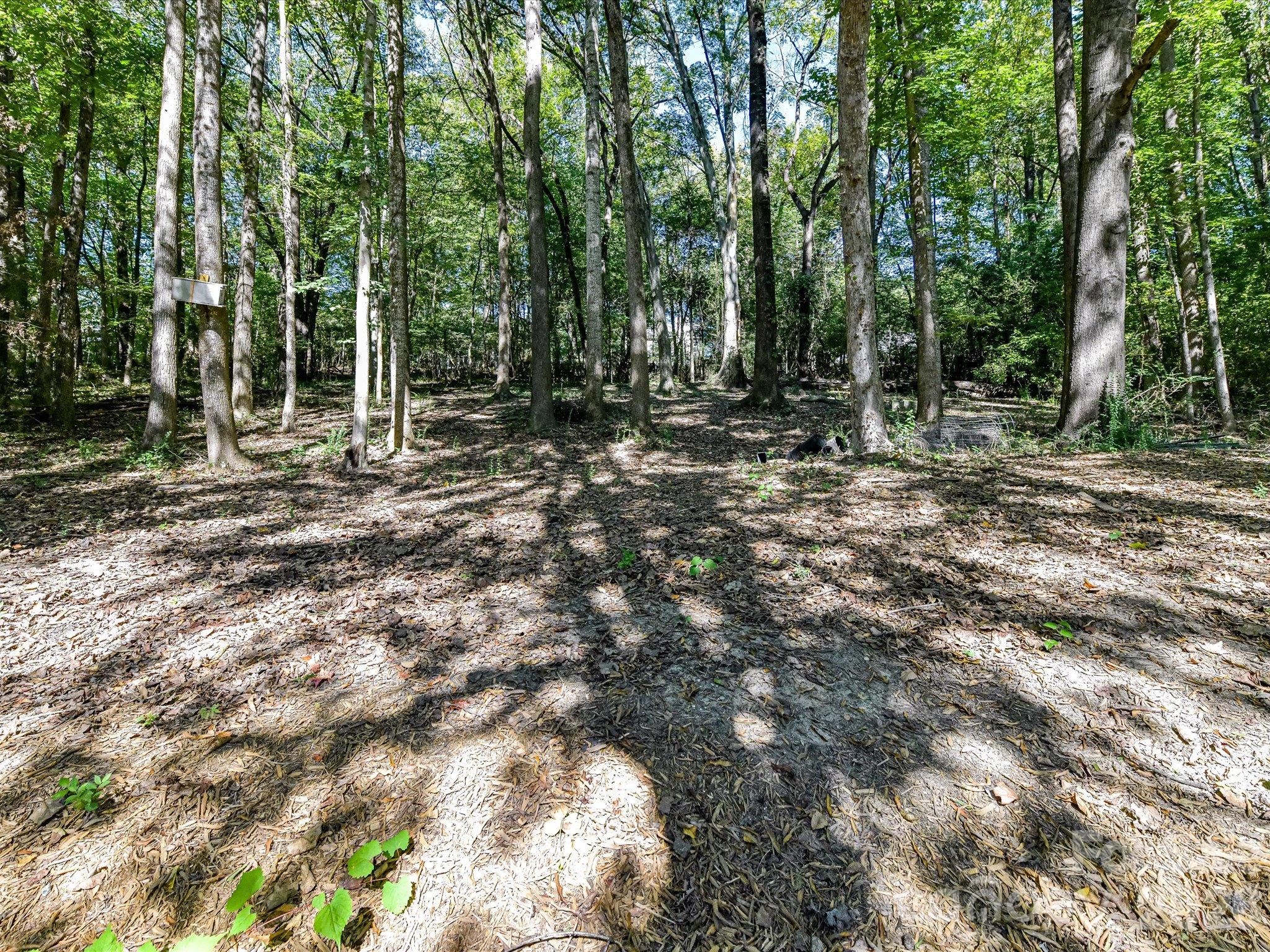 10709 Danesway Lane Property Photo 40