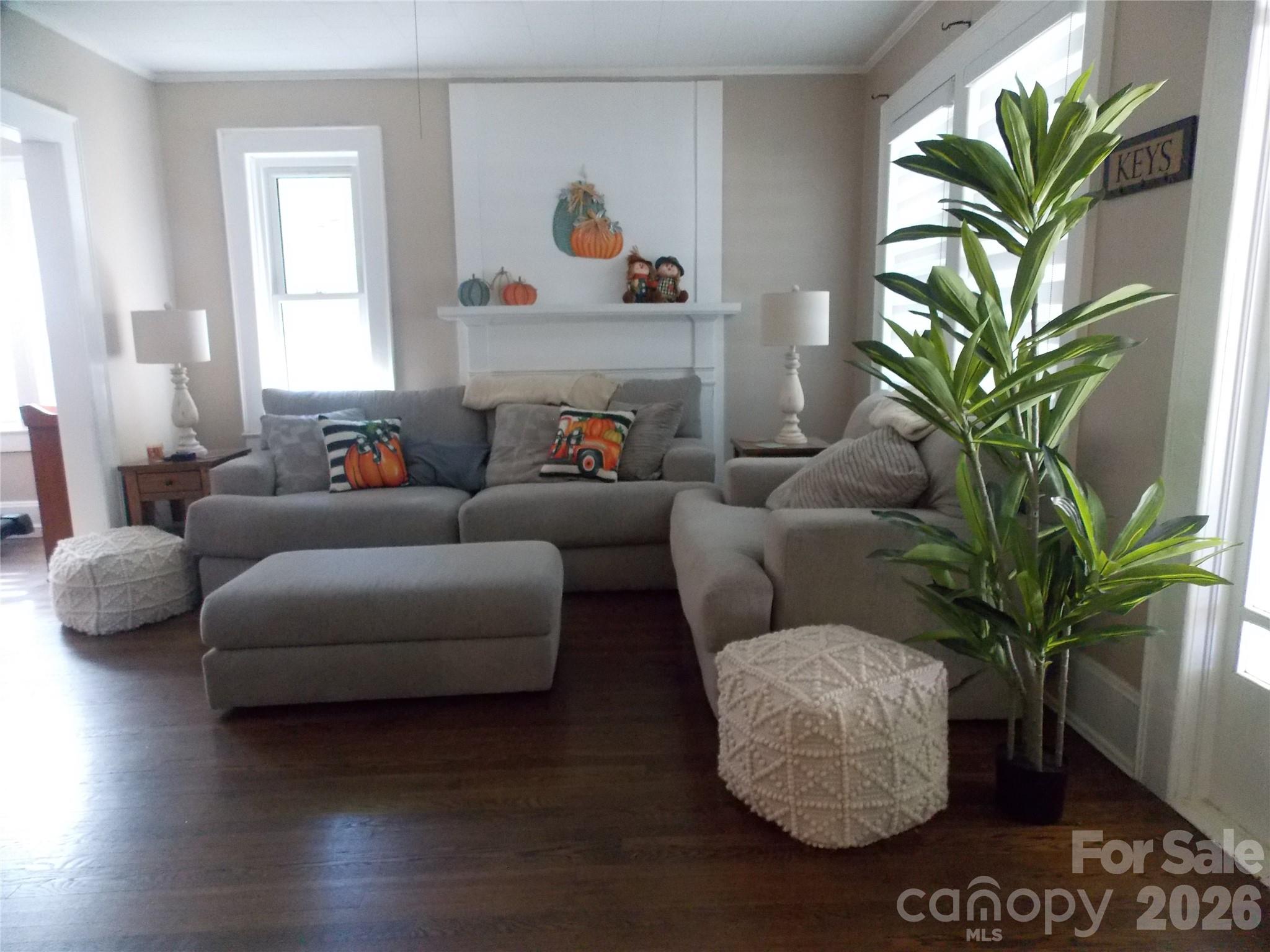 809 Grove Avenue Property Photo 4