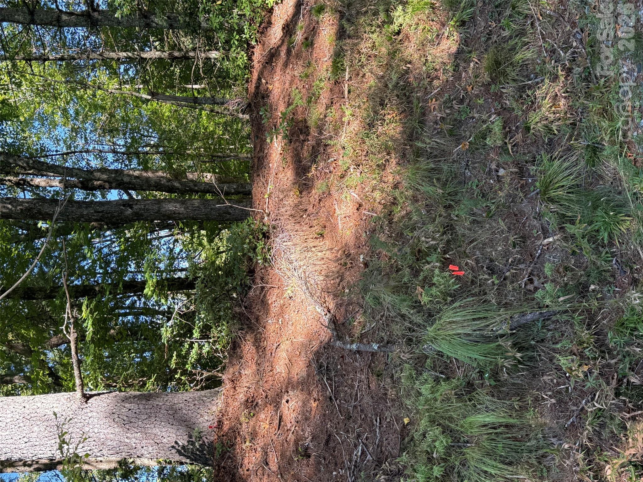 Tbd U24 Lot19 Tlugvi Court 19/24 Property Photo 4
