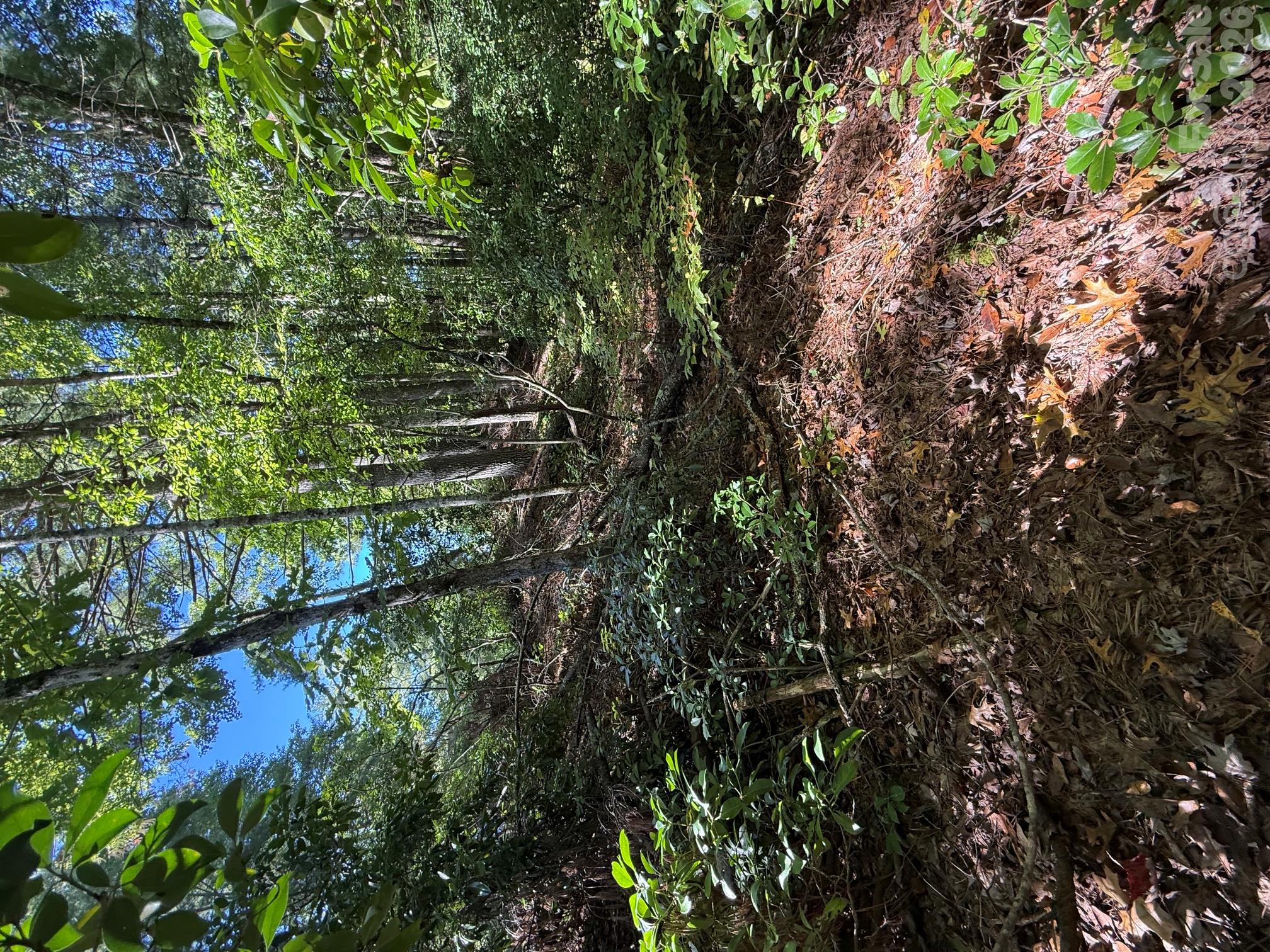 Tbd U24 Lot19 Tlugvi Court 19/24 Property Photo 5