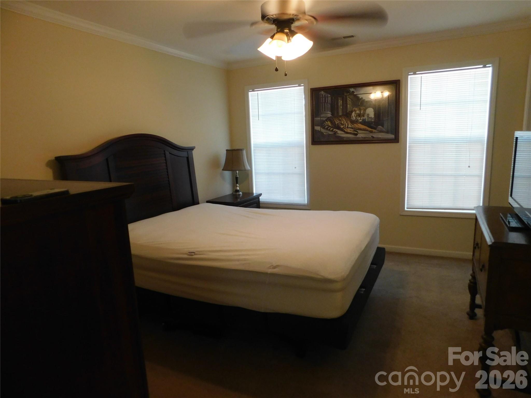 47 Linford Street Property Photo 17
