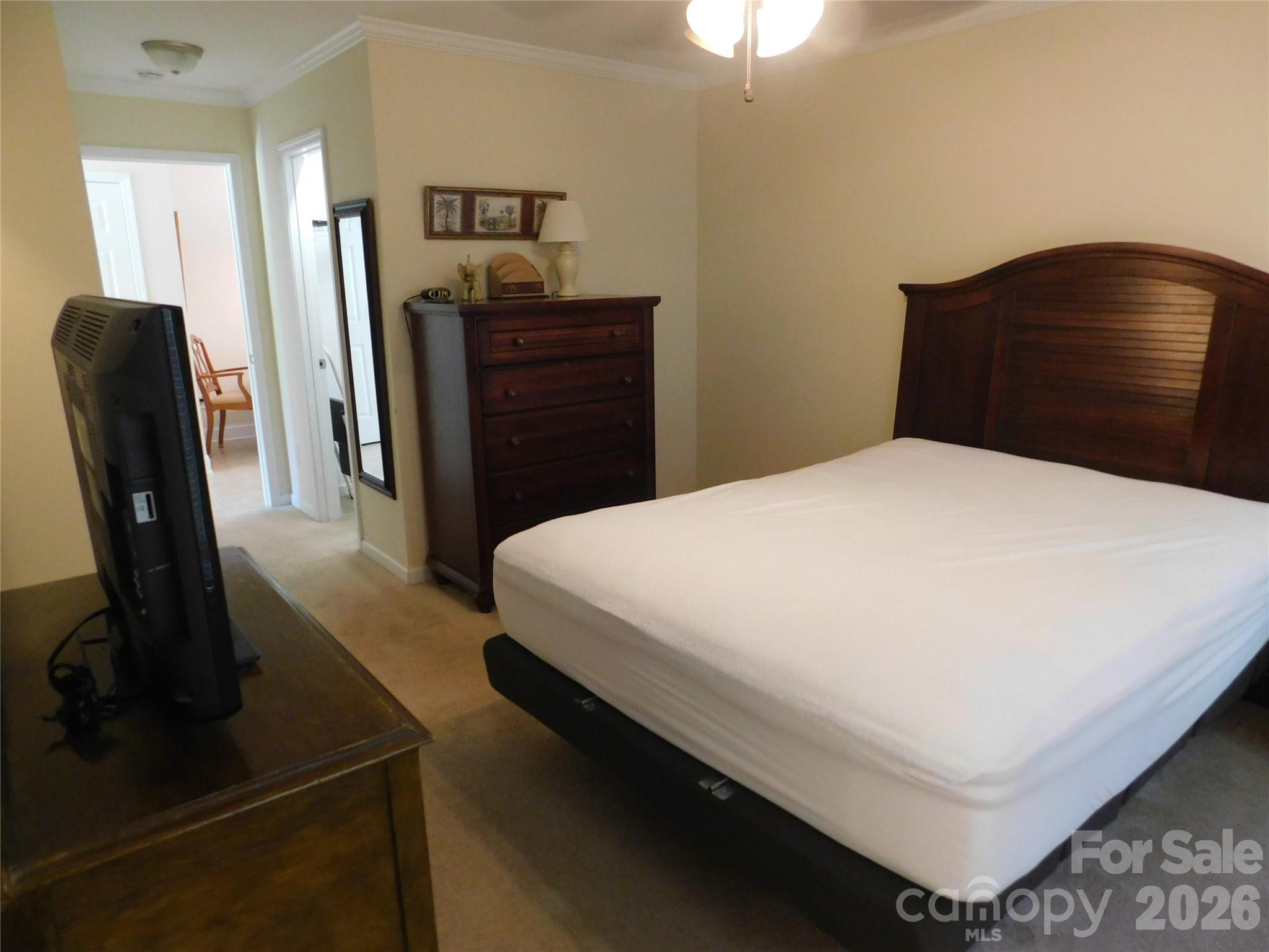 47 Linford Street Property Photo 18