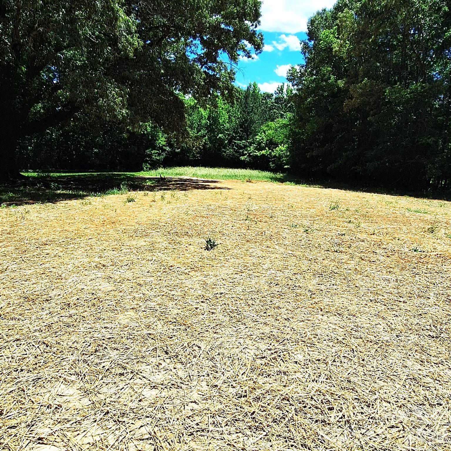 3114 Ansonville Road Property Photo 11