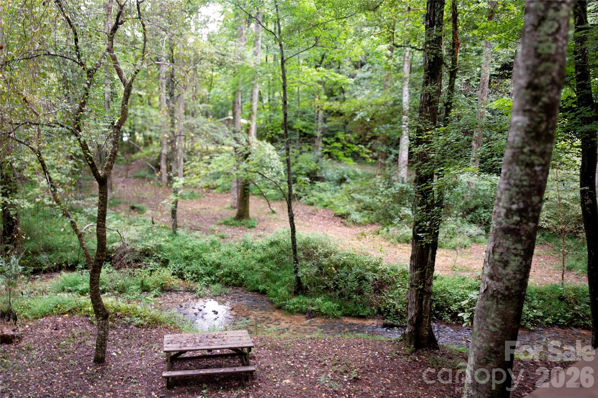 2218 Mountain Page Road Property Photo 12