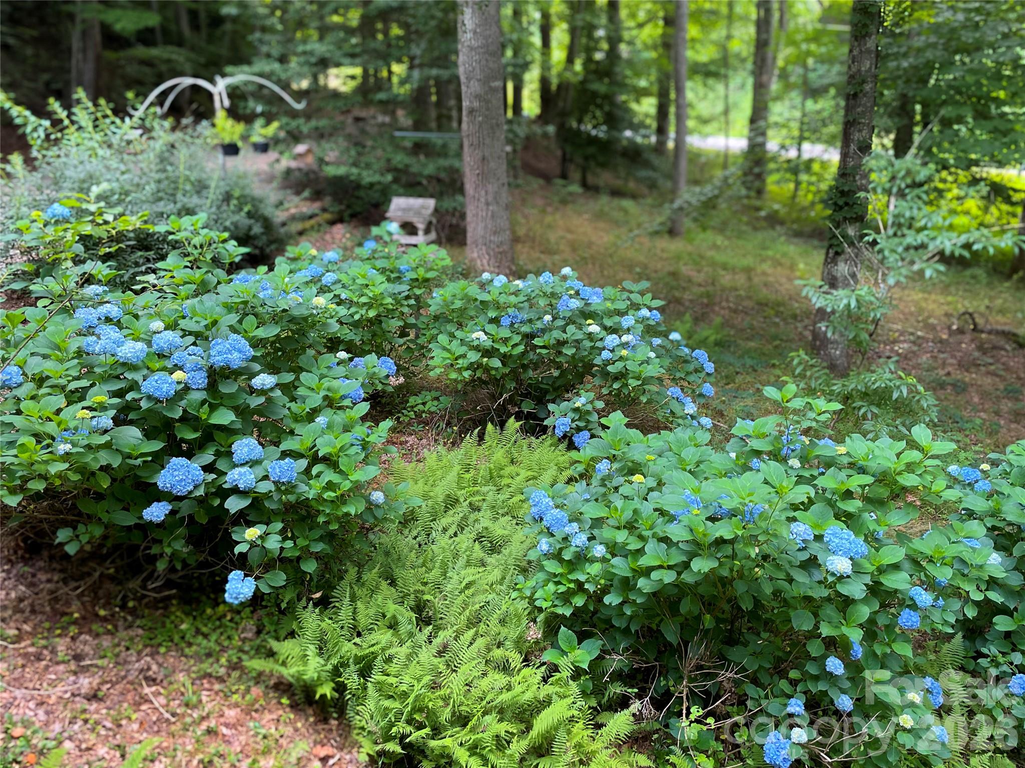 2218 Mountain Page Road Property Photo 13