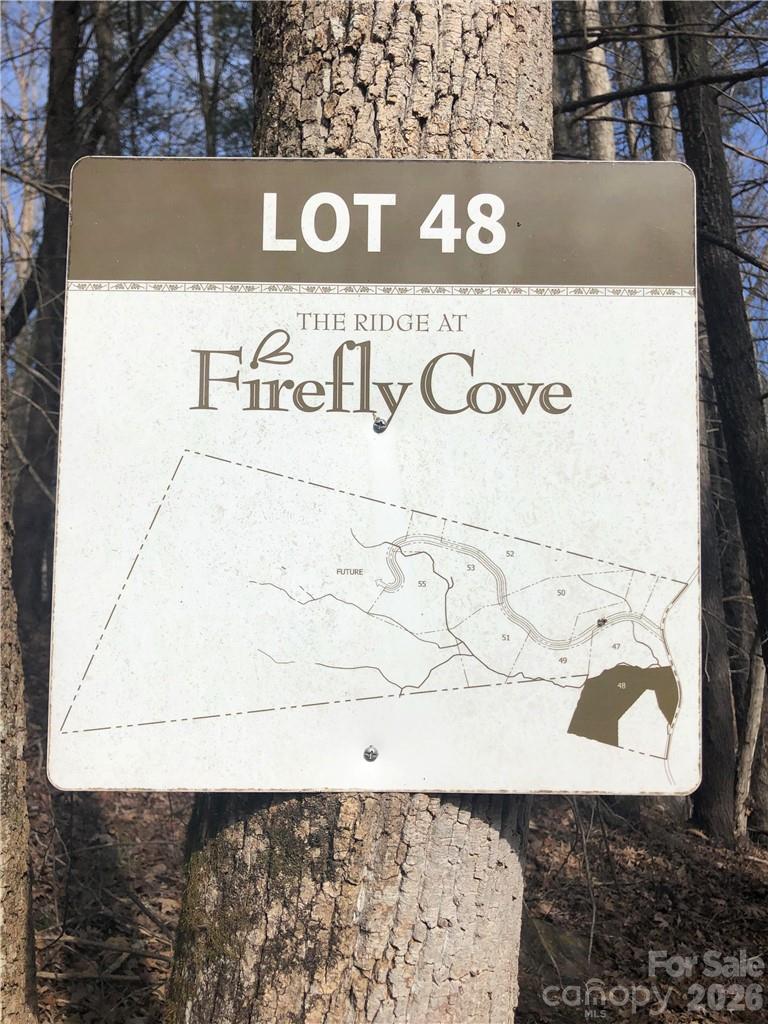 711 Boys Camp Road 48 Property Photo 3
