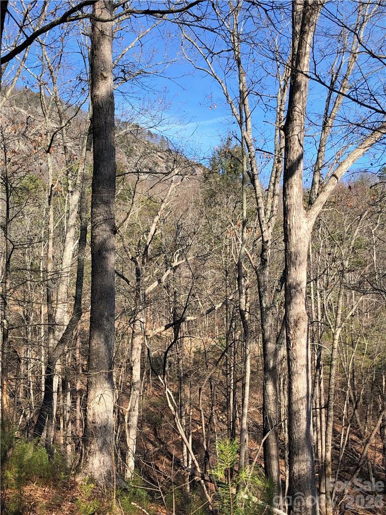 711 Boys Camp Road 48 Property Photo 5