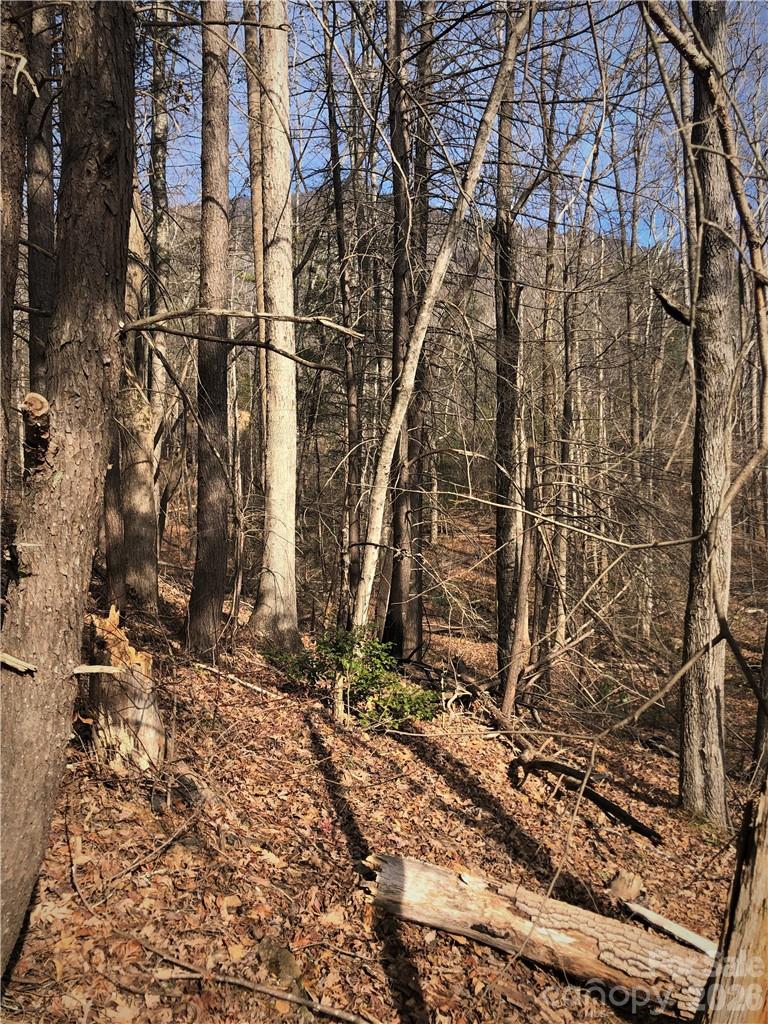 711 Boys Camp Road 48 Property Photo 6