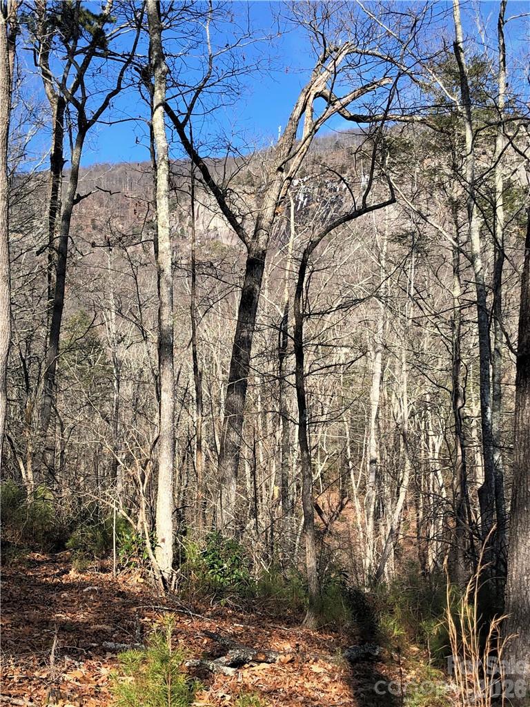 711 Boys Camp Road 48 Property Photo 7