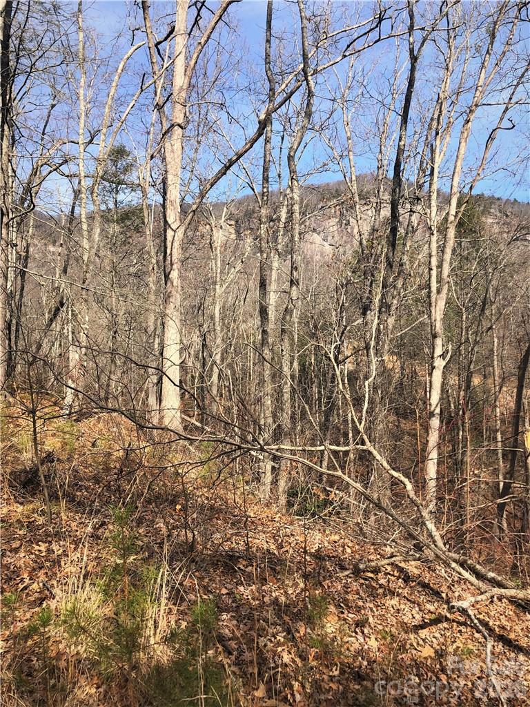 711 Boys Camp Road 48 Property Photo 8