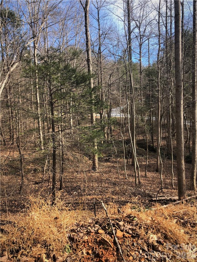 711 Boys Camp Road 48 Property Photo 11