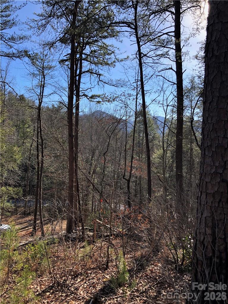711 Boys Camp Road 48 Property Photo 12